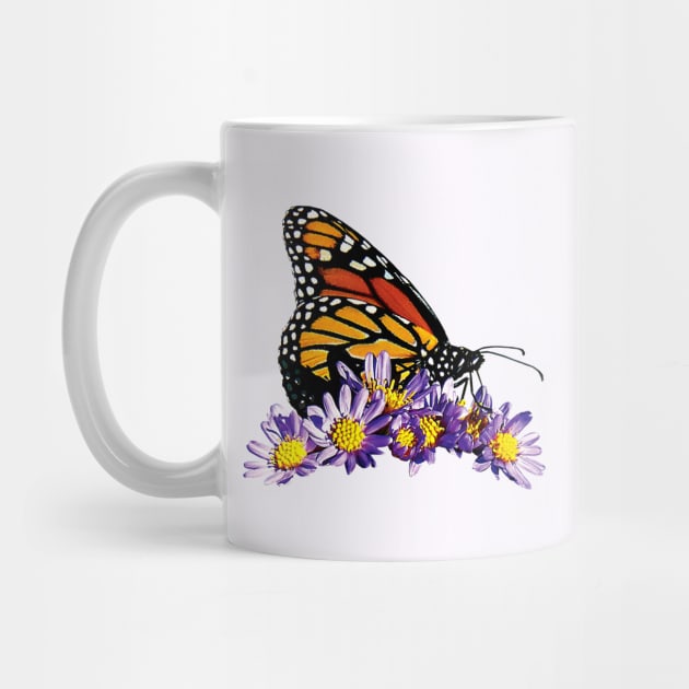 Monarch Butterfly on Purple Asters by SusanSavad